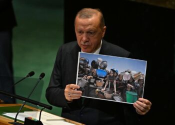 Türkiye Yazarlar Birliği’nden Cumhurbaşkanı Erdoğan’a destek, dünya liderlerine çağrı