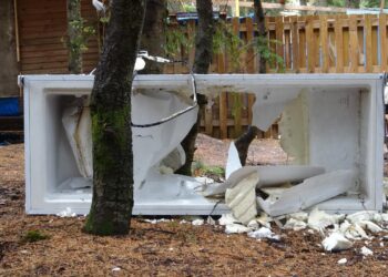 Uludağ’da ayılar, tatilcilerin yiyecek bıraktığı 18 baraka ve eşyalara zarar verdi