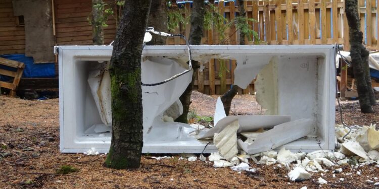 Uludağ’da ayılar, tatilcilerin yiyecek bıraktığı 18 baraka ve eşyalara zarar verdi
