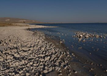 Van Gölü’nde kuraklık alarmı: Sular çekilince ortaya çıkan tablo korkuttu