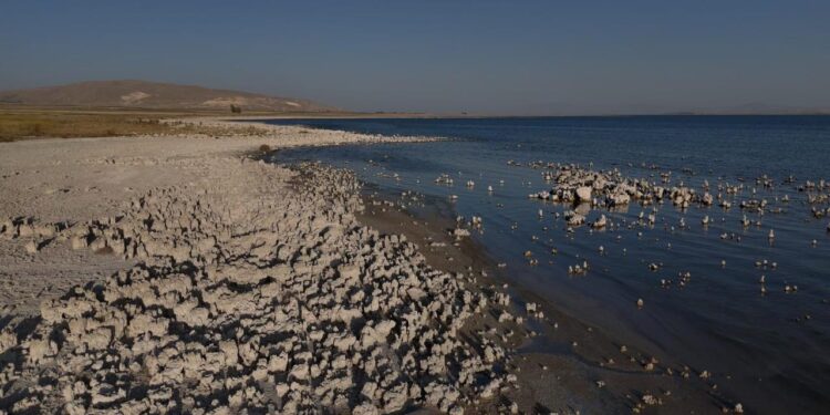 Van Gölü’nde kuraklık alarmı: Sular çekilince ortaya çıkan tablo korkuttu