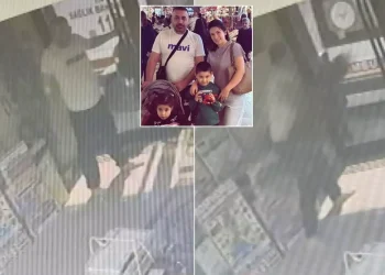 Otelde Kilitli Kalan Böcek Ailesinin Dehşet Anları