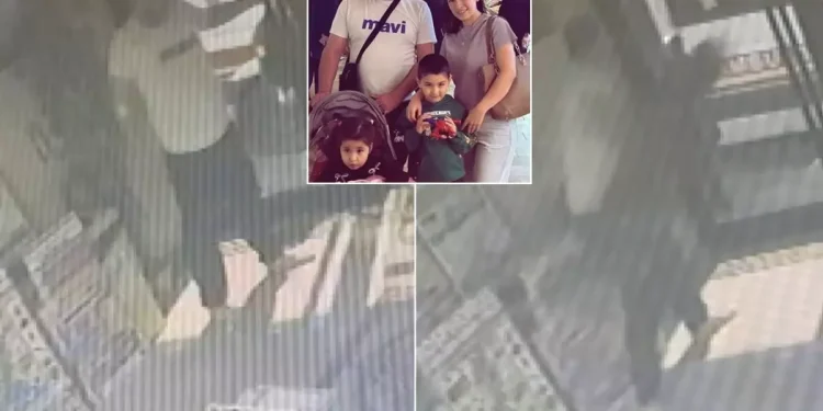 Otelde Kilitli Kalan Böcek Ailesinin Dehşet Anları