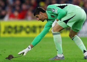 6 gollü karşılaşmaya damga vuran an! Yıldız kaleci maçı bıraktı farenin peşine düştü