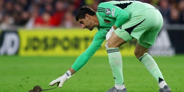 6 gollü karşılaşmaya damga vuran an! Yıldız kaleci maçı bıraktı farenin peşine düştü