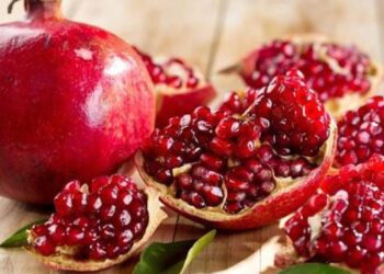 Adıyaman’dan Avrupa’ya! Nar hasadı başladı