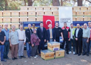 Afet bölgelerinde umut yeniden yeşeriyor