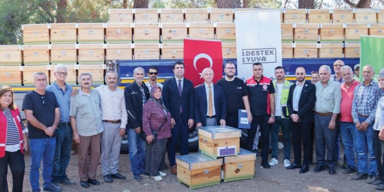 Afet bölgelerinde umut yeniden yeşeriyor