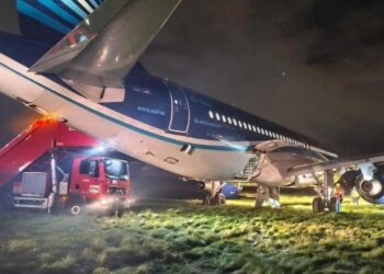 Azerbaycan semalarında panik! Uçak acil iniş yaptı!