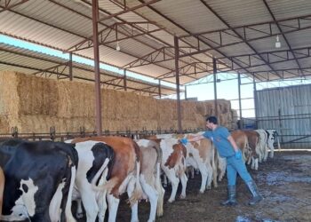 Bir ilde 12 mahalle karantinaya alındı!