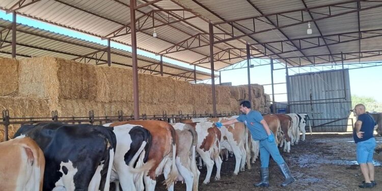 Bir ilde 12 mahalle karantinaya alındı!