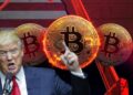 Bitcoin ve kripto paralar Trump darbesi