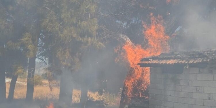 Bucak’ta odunlukta çıkan yangın korkuttu