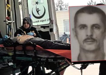 Ceviz topluyordu, hayatını kaybetti!