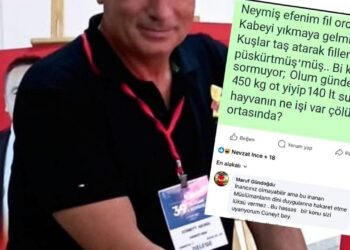 CHP’li isimden skandal paylaşım: Fil suresi ile alay etti