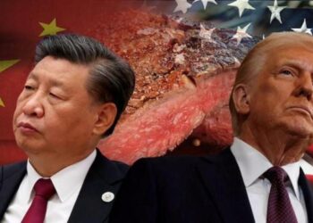 Çin’den ABD’ye rest! Tarife savaşı istemiyoruz ama korkmuyoruz!