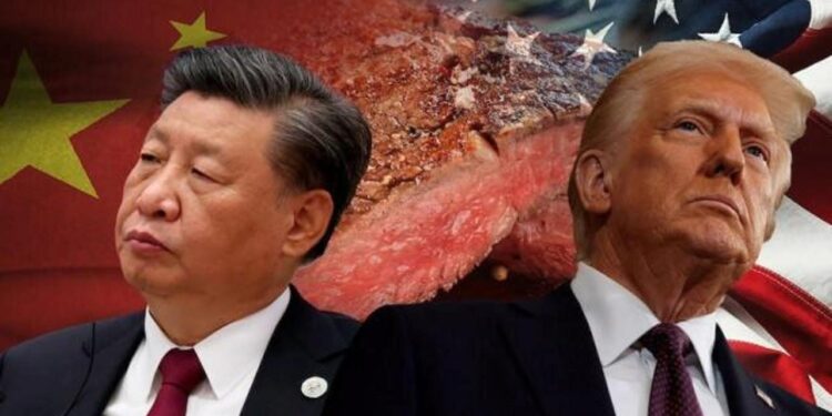 Çin’den ABD’ye rest! Tarife savaşı istemiyoruz ama korkmuyoruz!