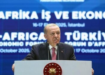 Cumhurbaşkanı Erdoğan: Nereye gittiysek barışı götürdük!