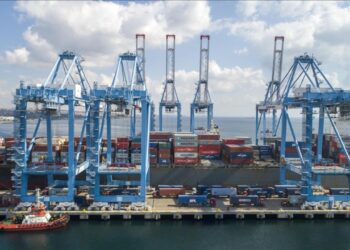 Deniz salyangozu ihracatı 9 ayda 10,7 milyon dolar kazandırdı