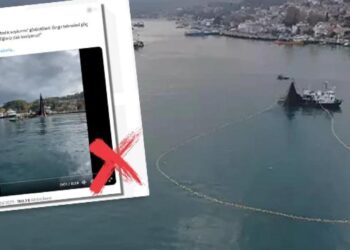 DMM’den İstanbul Boğazı’nda balık soykırımı iddiaları için açıklama