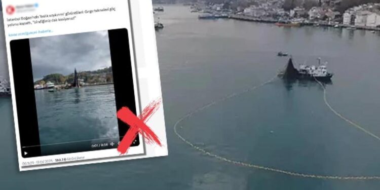 DMM’den İstanbul Boğazı’nda balık soykırımı iddiaları için açıklama