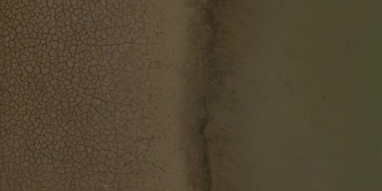 DSİ uyardı, belediye dinlemedi: Bursa barajlarında su kalmadı