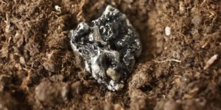 Fransa Türkiye’yi kandırmaya çalıştı, Çinliler ucuz teklif verdi: Erdoğan noktayı koydu