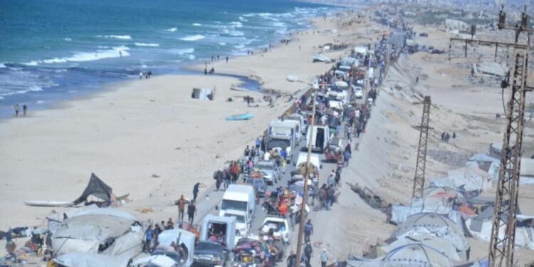 Gazzelilerin, eve dönüş yolculuğu devam ediyor