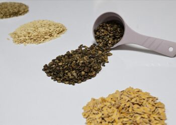 Güneydoğu’dan Afrika’ya hububat ihracatı yüzde 18,9 arttı