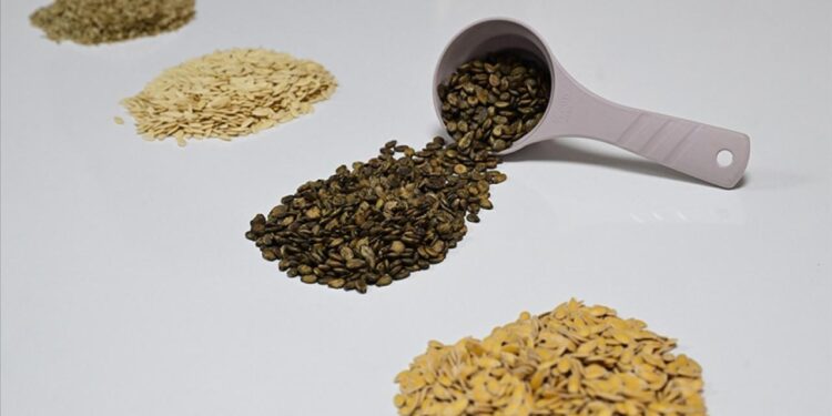 Güneydoğu’dan Afrika’ya hububat ihracatı yüzde 18,9 arttı