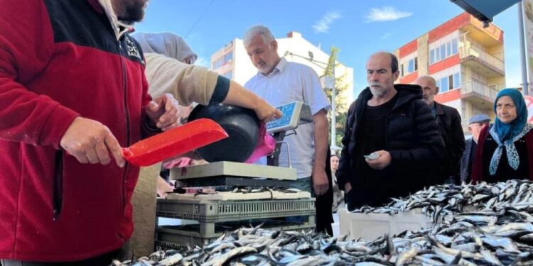 Hamsi 25 liraya düştü, vatandaş sıraya girdi
