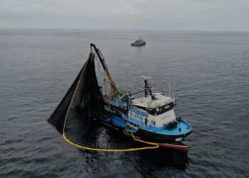 Hamside tehlike çanları çalıyor! Karadeniz’de stoklar eriyor