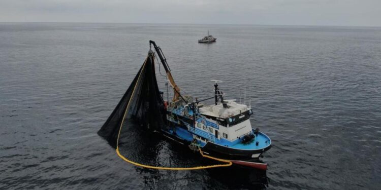 Hamside tehlike çanları çalıyor! Karadeniz’de stoklar eriyor