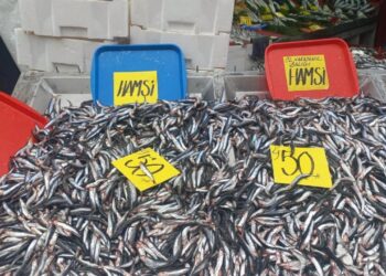Hamsinin kilosu 50 liraya düştü, vatandaşlar poşet poşet aldı