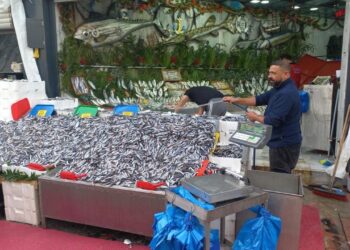 Havalar soğudu, hamsi 100 liraya düştü
