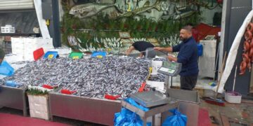 Havalar soğudu, hamsi 100 liraya düştü