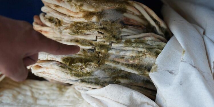 Hijyen kurallarına uymayan 2 ekmek fırını kapatıldı