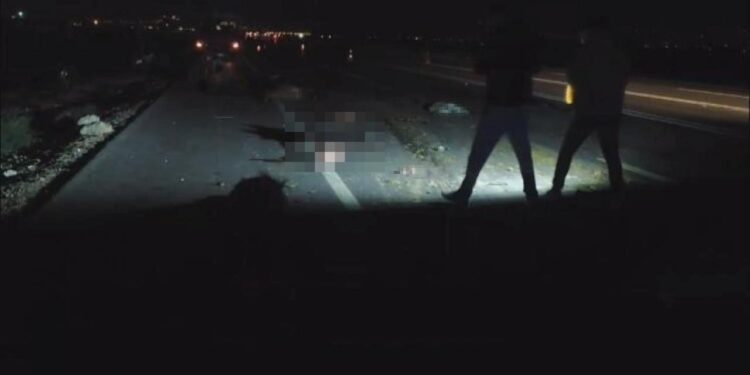 İki araç sürüye daldı: 37 hayvan telef oldu