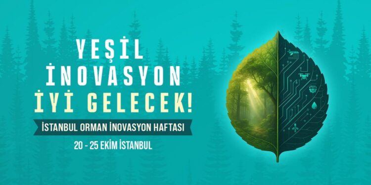 İstanbul’da BM çatısı altında büyük bir organizasyon düzenlenecek