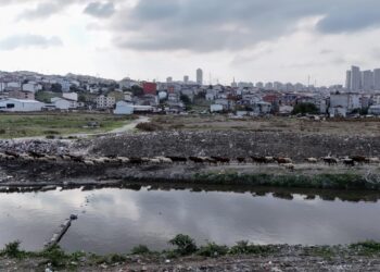 İstanbul’un ortasında korkunç görüntü: Dere siyahlaştı, bölgeye lağım kokusu yayılıyor