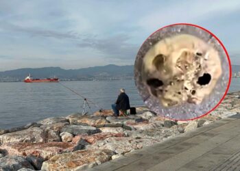 İzmir’de korkunç olay: Oltasına takıldı, hemen ekipleri aradı