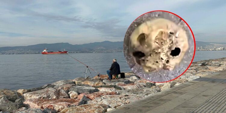 İzmir’de korkunç olay: Oltasına takıldı, hemen ekipleri aradı