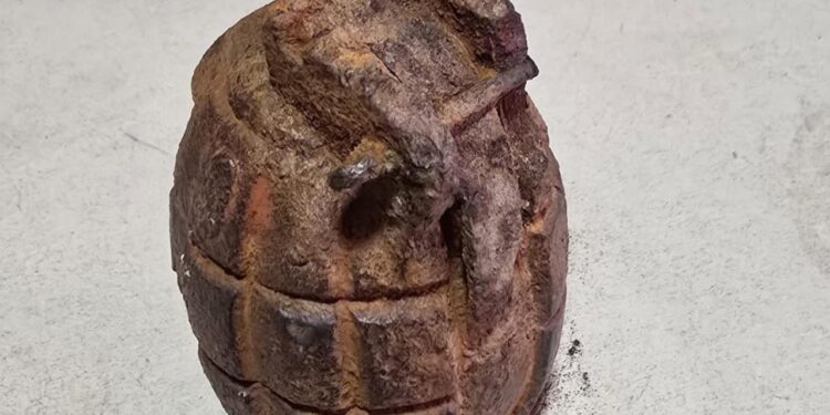 İzmir’de tarlada el bombası bulundu