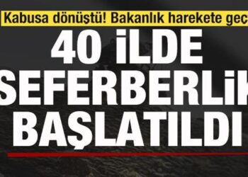 Kabusa dönüştü! Bakanlık harekete geçti! 40 ilde seferberlik ilan edildi!