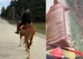 Atın Kaçışı 300 Metrelik Korku Dolu Anlar Getirdi