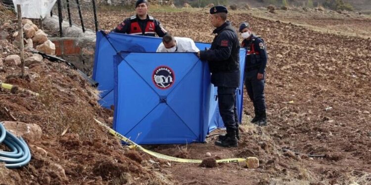 Kadastro ekibi geldi sınırı ölçecekti… İki komşu arasında kan aktı