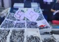 Karadeniz hamsisi tezgahları doldurdu: Kilosu 50 lira