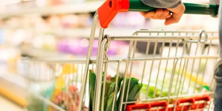 Evcil hayvan ürünleri kasımda fiyat artışında zirvede