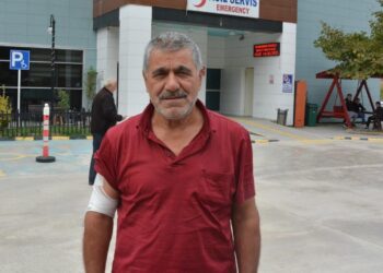 Kastamonu’da ayı saldırısı! Kaçarken yamaçtan düştü