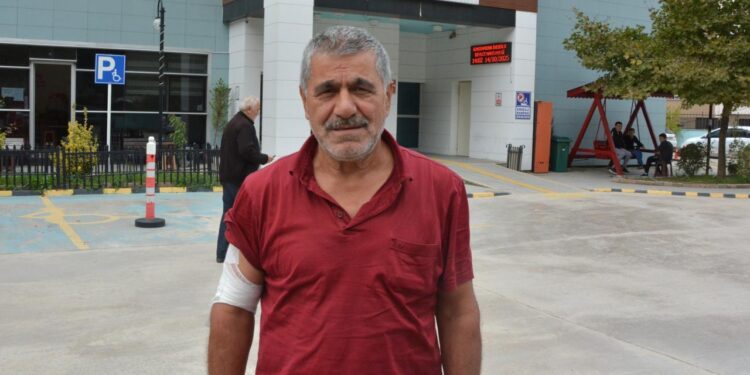 Kastamonu’da ayı saldırısı! Kaçarken yamaçtan düştü